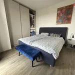 Pronajměte si 2 ložnic/e byt o rozloze 65 m² v Praha