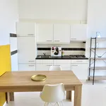 Rent 1 bedroom apartment of 45 m² in Den Haag