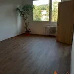 Rent 3 bedroom apartment in Chomutov