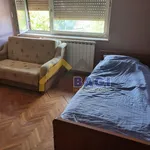 Najam kuće za radnike-Petrinja, kuća, površina 120m2, za najam