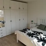 Huur 2 slaapkamer appartement in SCHERPENHEUVEL