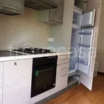 Rent 2 bedroom apartment of 39 m² in Rovereto