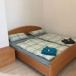 Miete 2 Schlafzimmer wohnung von 60 m² in Freiberg