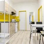 Rent 1 bedroom apartment in Brno