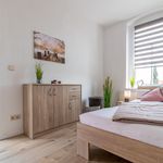 Miete 2 Schlafzimmer wohnung von 50 m² in Zwickau