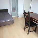 Rent 2 bedroom apartment of 164 m² in Budapest