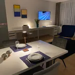 Rent 1 bedroom apartment of 42 m² in München