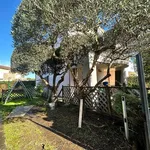 Rent 3 bedroom apartment of 110 m² in Roma