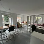 Rent 1 bedroom apartment of 46 m² in Stuttgart