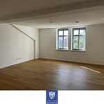 Exklusive Familienwohnung in charmanter Villa! Erstbezug nach Modernisierung!