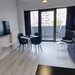 Rent 1 bedroom apartment of 30 m² in Centrum