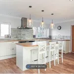 Rent 4 bedroom house in East Of England