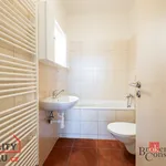 Rent 1 bedroom apartment of 31 m² in Capital City of Prague