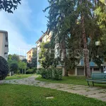 Rent 4 bedroom apartment of 130 m² in Padova