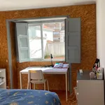 Rent 5 bedroom apartment in Coimbra