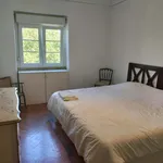 Rent a room of 100 m² in Lisboa