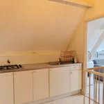 Huur 1 slaapkamer appartement van 45 m² in Den Haag