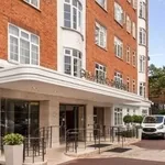 Rent 1 bedroom apartment in London