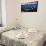 Rent 1 bedroom apartment of 36 m² in turin