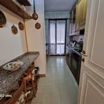 Rent 6 bedroom apartment of 110 m² in Seravezza