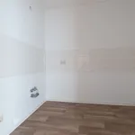 Miete 2 Schlafzimmer wohnung von 58 m² in Chemnitz