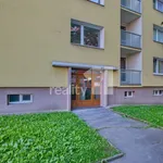 Rent 2 bedroom apartment of 45 m² in Liberec