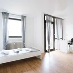 Rent a room in dusseldorf