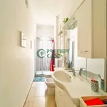 Rent 2 bedroom apartment of 55 m² in Torino