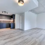  appartement avec 1 chambre(s) en location à Montreal