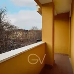 Rent 3 bedroom apartment of 90 m² in Milano