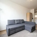 Rent 1 bedroom apartment of 25 m² in Prague