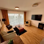 Rent 1 bedroom apartment of 43 m² in Heidelberg