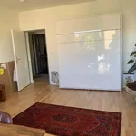 Rent 1 bedroom apartment in berlin