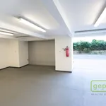 Rent 3 bedroom apartment of 100 m² in Prague