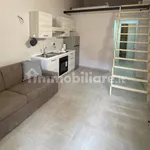 Rent 2 bedroom apartment of 40 m² in Turin