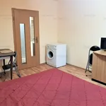 Rent 1 bedroom apartment of 21 m² in Timisoara