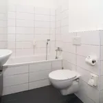 Rent 1 bedroom apartment of 24 m² in Brno