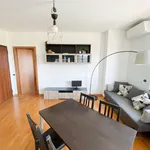 Rent 1 bedroom apartment in Milan