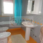 Rent a room of 110 m² in Legnaro