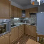 Rent 1 bedroom apartment of 37 m² in Poděbrady