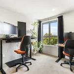 Rent 4 bedroom house in Maungakiekie-Tāmaki