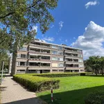 Rent 3 bedroom apartment of 91 m² in Hogeland-Zuid