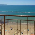 Rent 4 bedroom apartment of 80 m² in Follonica