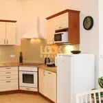 Rent 2 bedroom apartment of 48 m² in Prague