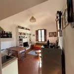 Rent 1 bedroom apartment of 50 m² in Pisa