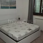 Rent 2 bedroom apartment of 55 m² in Labico