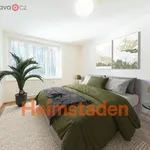 Rent 2 bedroom apartment of 47 m² in Ostrava