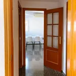 Rent 4 bedroom apartment in Valencia