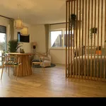 Rent 2 bedroom apartment of 45 m² in Langenbach