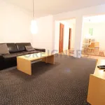 Rent 1 bedroom apartment of 95 m² in Hradec Králové